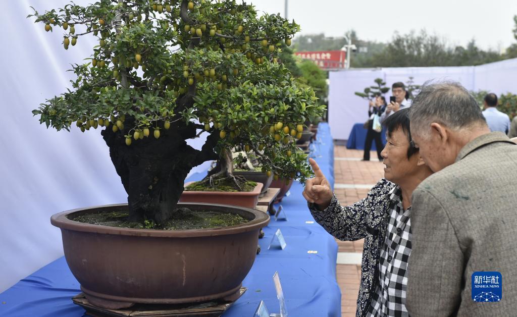 银钻娱乐账号